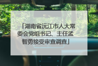 湖南省沅江市人大常委会党组书记、主任孟智勇接受审查调查